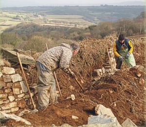 Building a Cornish hedge on Deer Park Farm