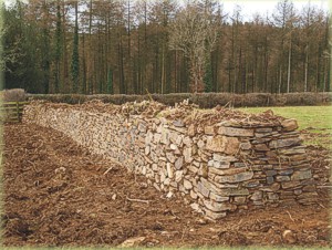 A newly-constructed Cornish hedge on Deer Park Farm.